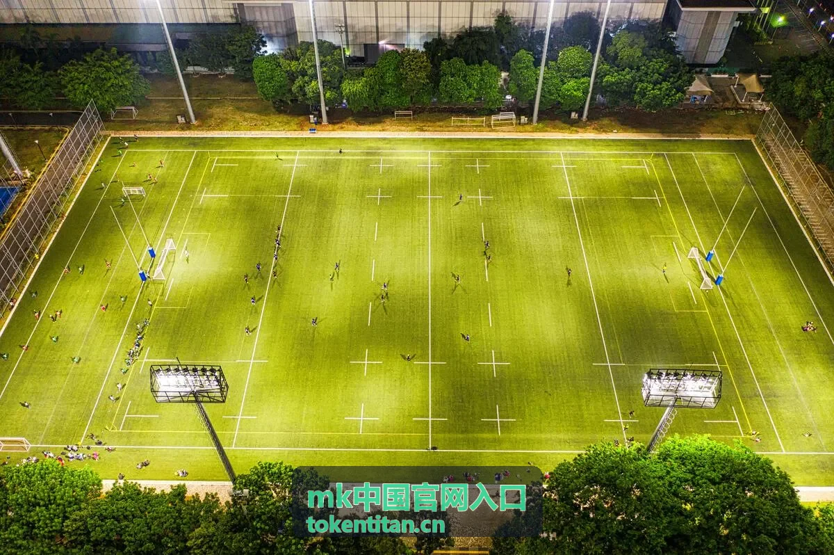mk中国官网入口通勤日常款式的产品参考图