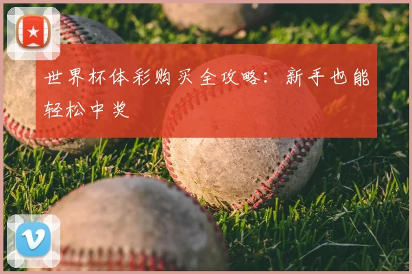 世界杯体彩购买全攻略：新手也能轻松中奖