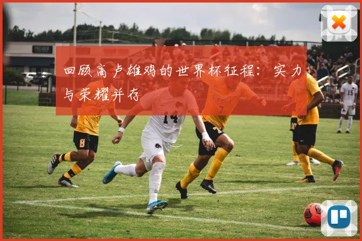 回顾高卢雄鸡的世界杯征程：实力与荣耀并存