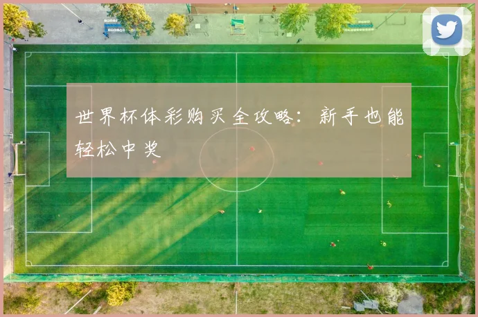 世界杯体彩购买全攻略:新手也能轻松中奖