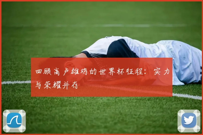 回顾高卢雄鸡的世界杯征程：实力与荣耀并存