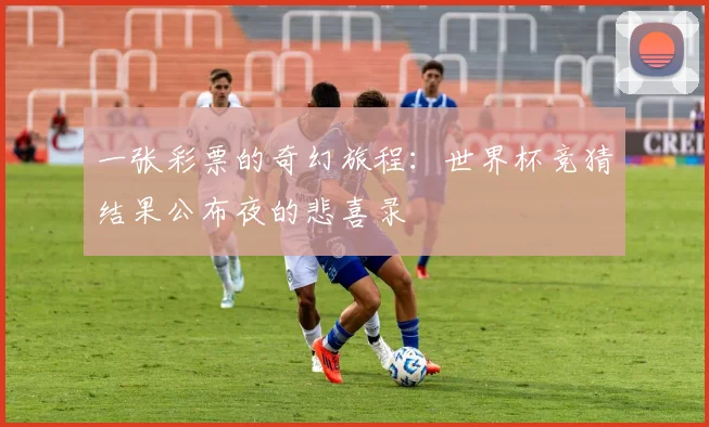 一张彩票的奇幻旅程：世界杯竞猜结果公布夜的悲喜录