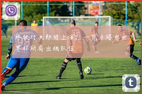 终极对决即将上演：一览卡塔尔世界杯所有出线队伍